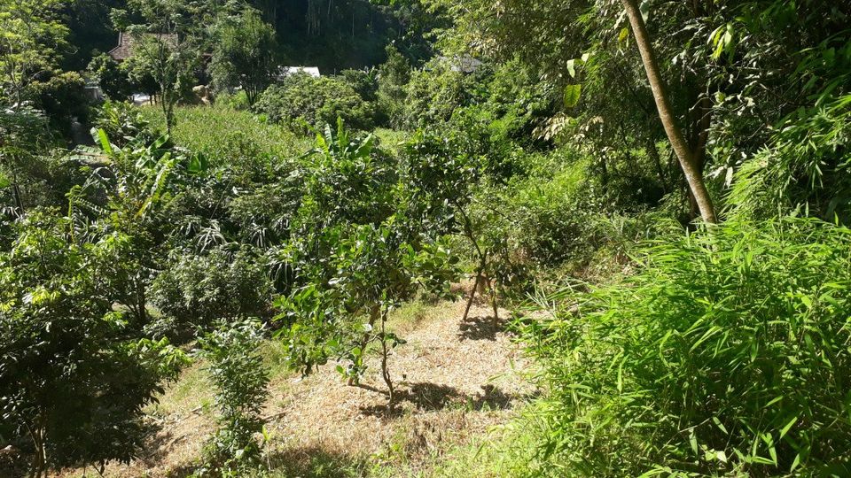 Bán mảnh đất rộng ở Trung tâm huyện Điện Biên