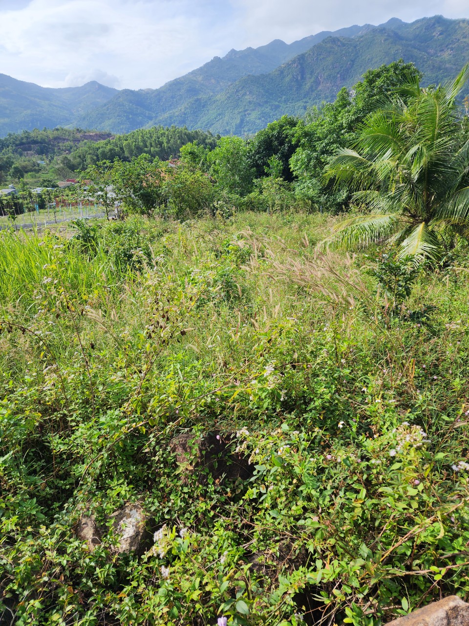 BÁN ĐẠI HẠ GIÁ LÔ ĐẤT NỀN TRUNG TÂM XÃ PHƯỚC ĐỒNG - NHA TRANG