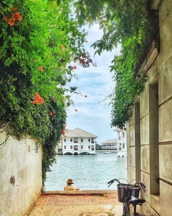 Độc nhất - bán Nhà Vườn phố Từ Hoa - Quảng An, Tây Hồ, rộng 170m2