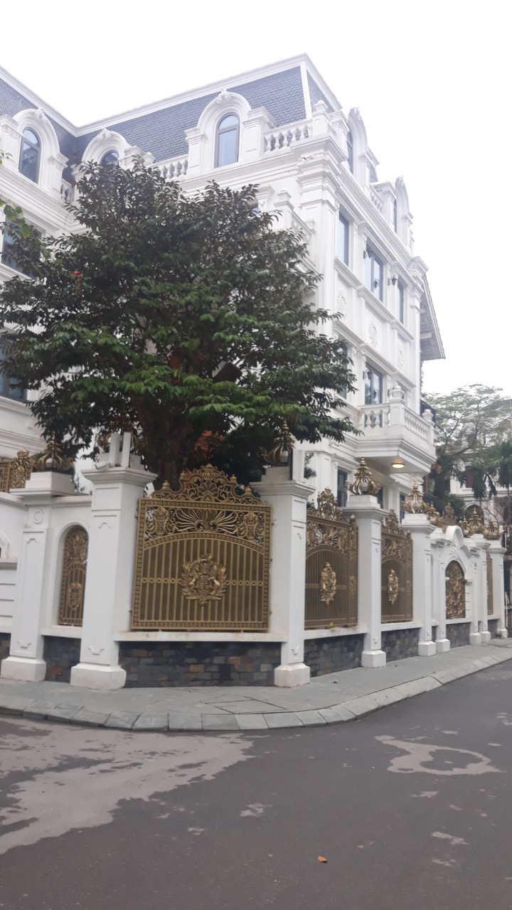 Bán biệt thự Huyndai Tô Hiệu Hà Đông Giá 25 Tỷ, 195m2, 11mặt tiền