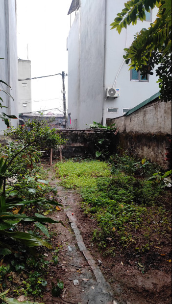 50m2