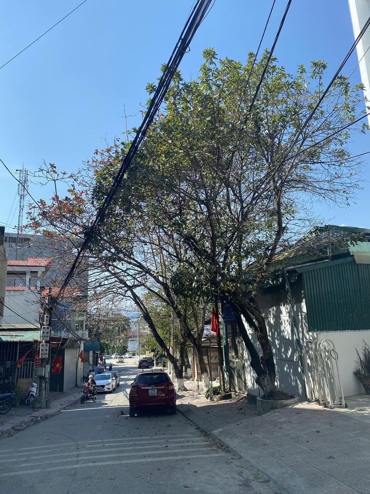 Bán đất gần Vincom Điện Biên, phường Mường Thanh, thành phố Điện Biên Phủ