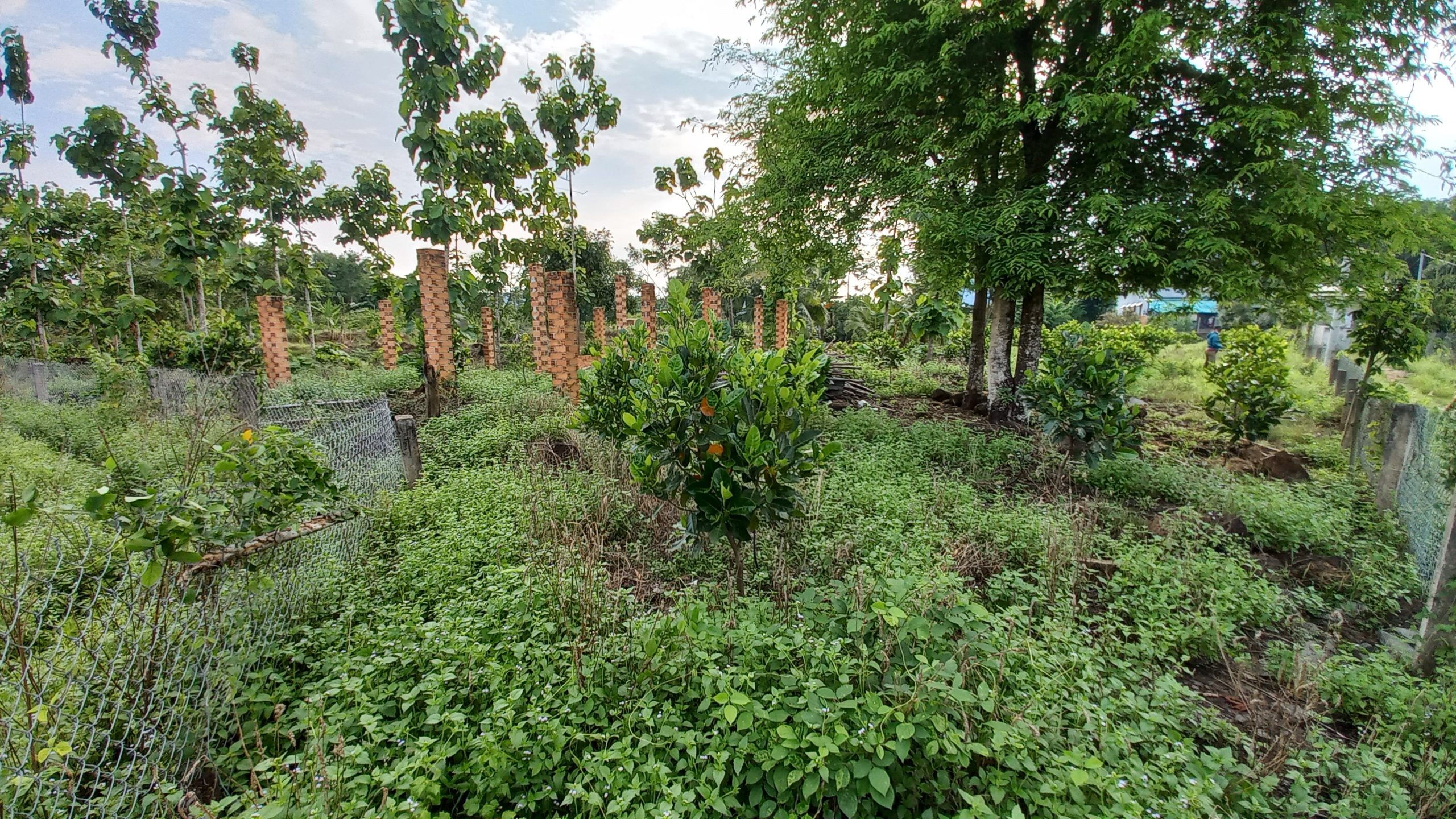 Đất Vườn Đầu Tư Xã Thanh Sơn Huyện Định Quán Tỉnh Đồng Nai