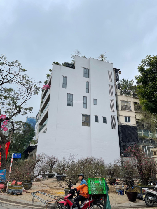 CHÍNH CHỦ BÁN GẤP! ĐẤT BIỆT THỰ VƯỜN ĐÀO, TÂY HỒ, LÔ GÓC MẶT LẠC LONG QUÂN, 1 MẶT LOTTE KD VIP