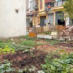 40m2 - 4