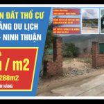  288m2 - 1