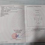 98m2