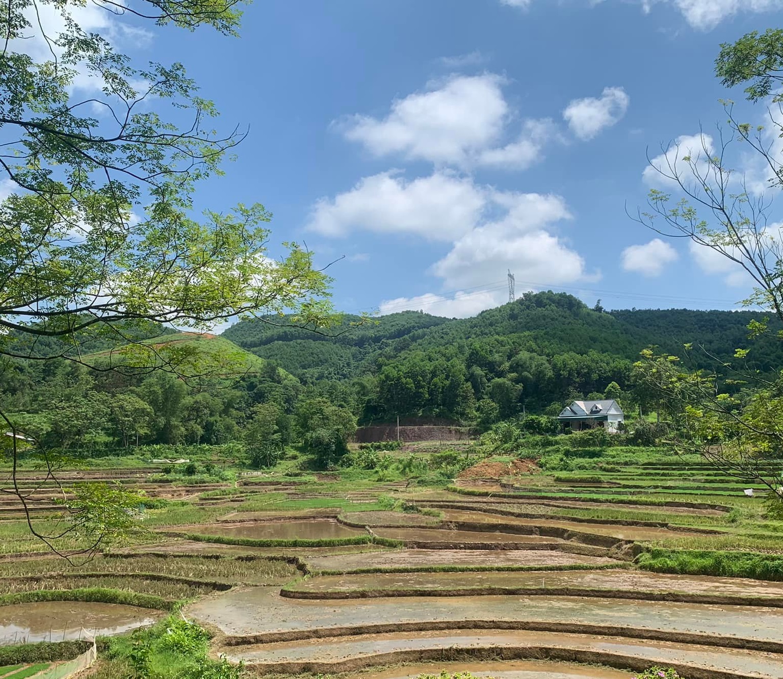 Cần bán nhanh tay mảnh đất đẹp như đảo 1404m2 Lỗ Sơn trong đó có 400m thổ cư, còn lại là đất trồng cây lâu năm