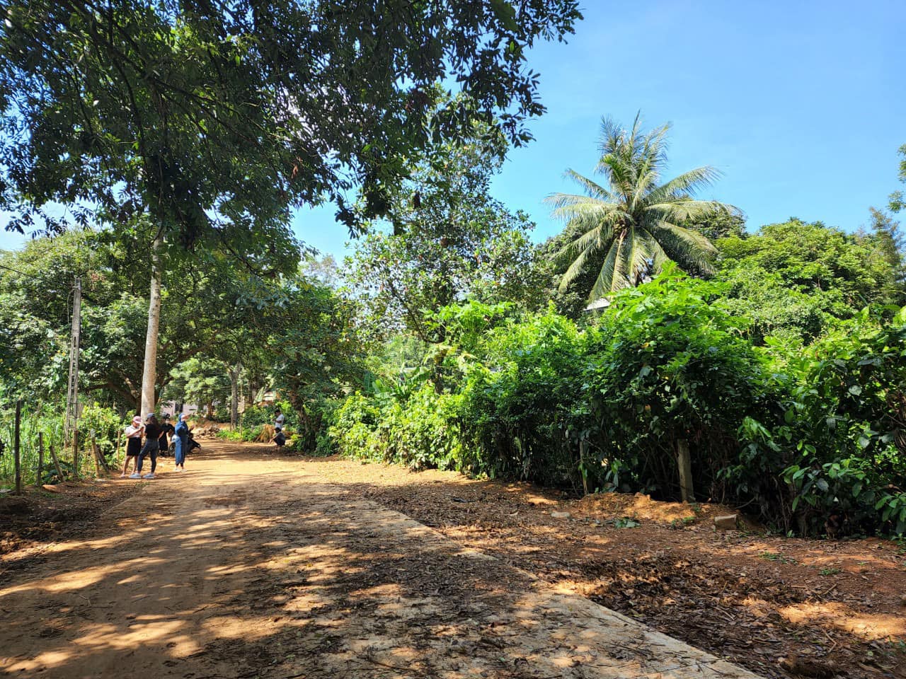 Dành 3 sự lựa chọn 3 Lô Đất Bám Hồ Siêu Đẹp Tại Lạc Sơn gom đất bám hồ với mức giá quá HỜI