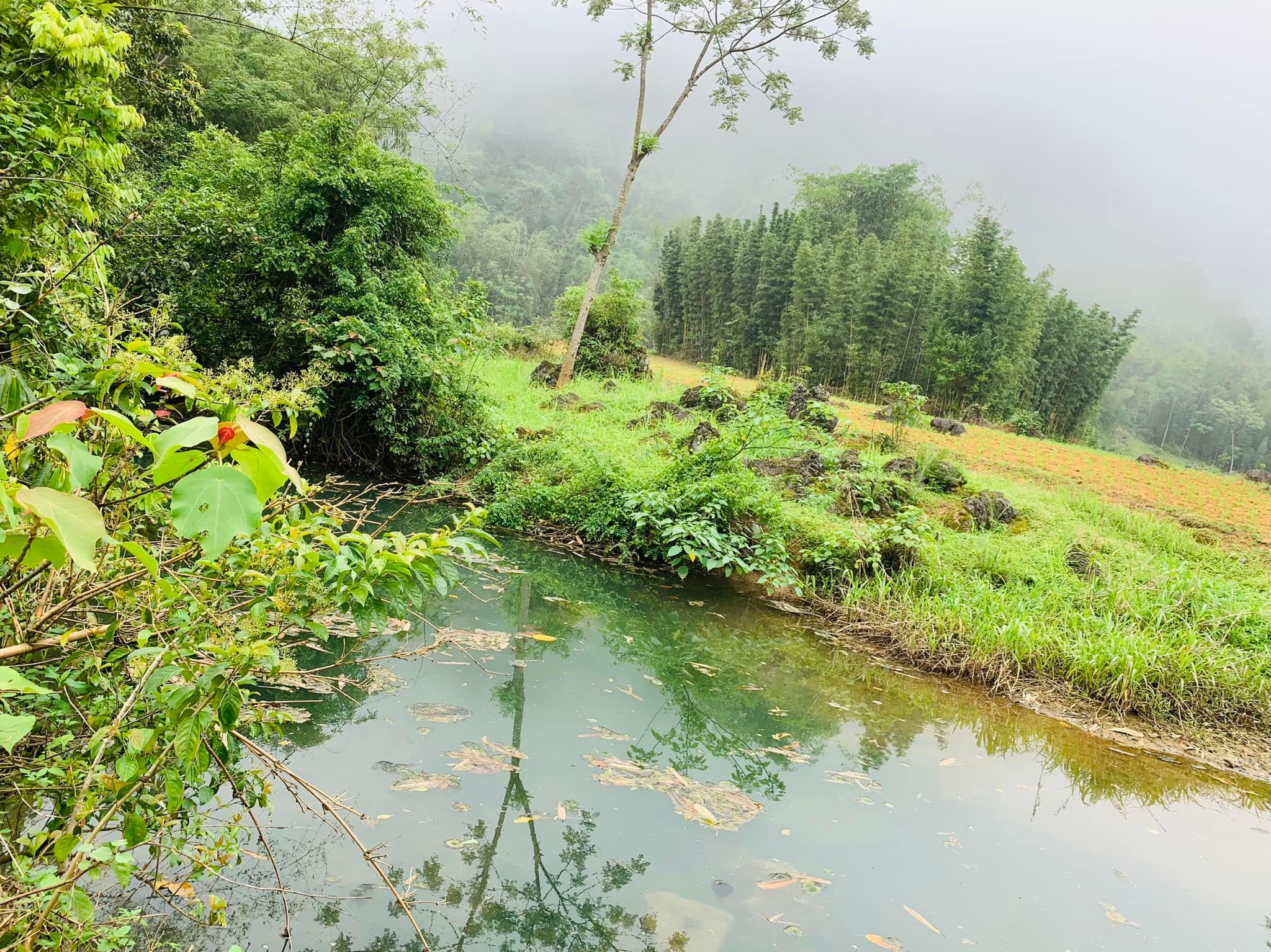 Cần bán nhanh đất đẹp Mai Châu 7500m2 chỉ 266k/m có 350m2 đất ở Tại Khan Hò- Sơn Thuỷ- Mai Châu- Hoà Bình