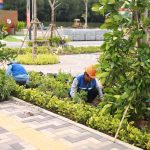  100m2 - 5