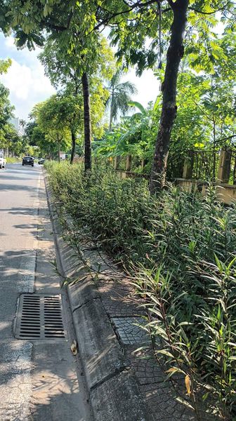 CHÍNH CHỦ BÁN NHÀ ĐƯỜNG ĐỒNG DINH 76M2 ĐẤT, MẶT TIỀN 6.2M - GẦN THẠCH BÀN