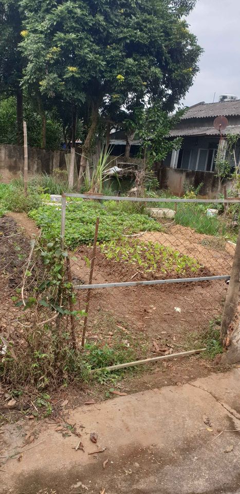 Bán đất tại tổ dân phố 2, phường Thanh Bình, thành phố Điện Biên Phủ.