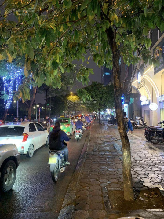 3 bước ra phố - đầu tư dòng tiền cho thuê tốt 40triệu/tháng phố Nguyễn Ngọc Vũ 176m2 giá 26.1tỷ