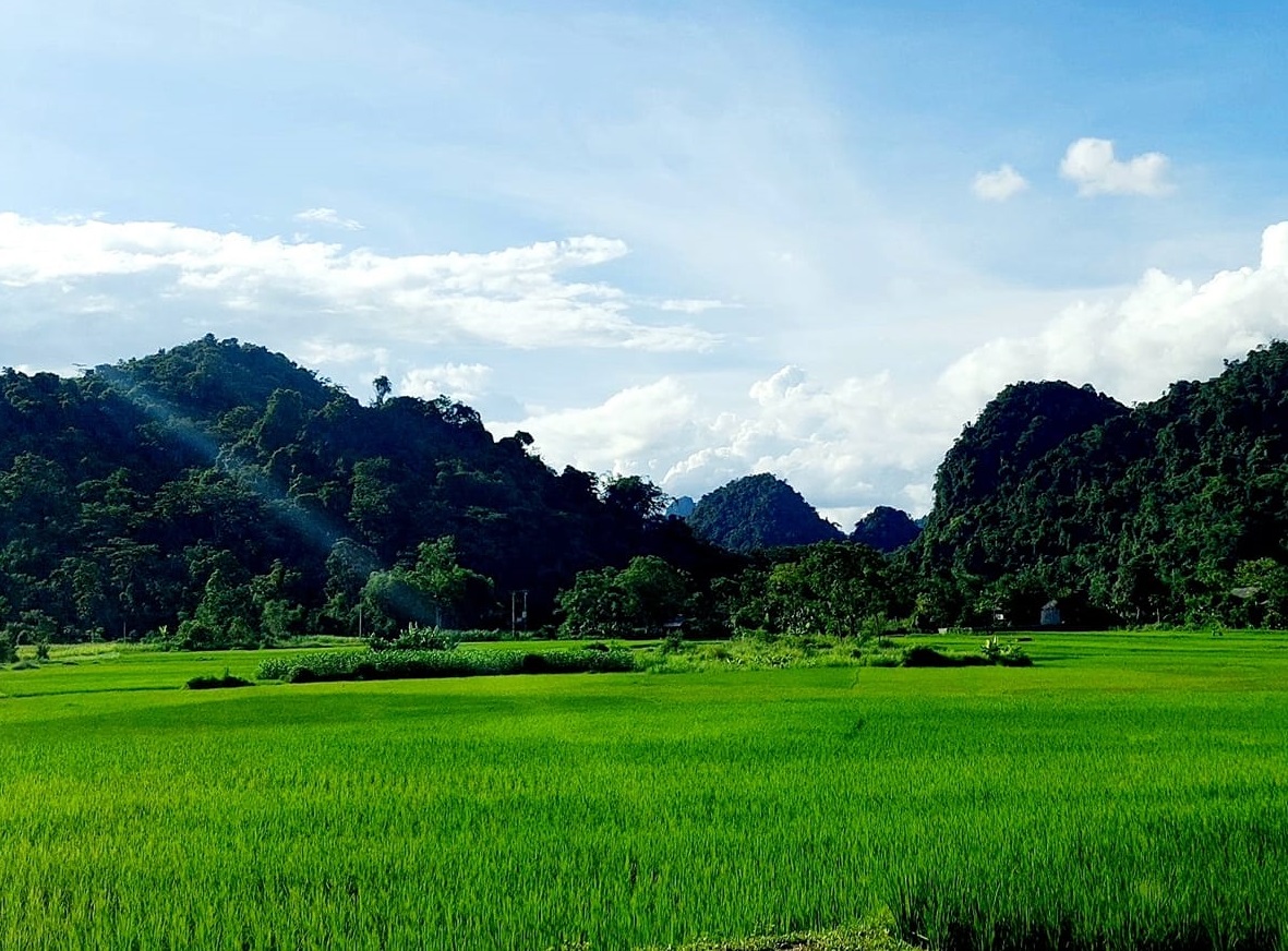 Bán nhanh lô đất đẹp 2700m tại xóm Đung, Phú Vinh chỉ 900 2700m2 (200m2 ONT + CLN) Tại Xóm Đung, xã Phú Vinh