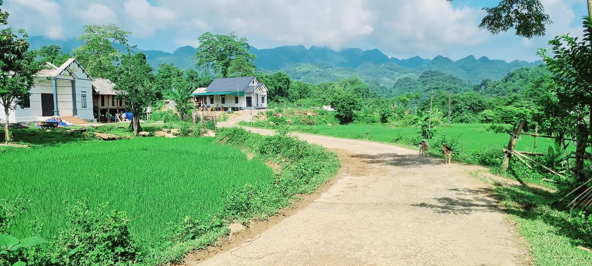 BÁN ĐẤT 2700m2 xóm Đung, Phú Vinh cực rẻ Chưa đến 300k cho 1 mét đất có 200m2 thổ cư, còn lại là đất vườn