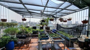 ĐẤT 135TR/M PHỐ KIM GIANG, VỈA HÈ 2M. KINH DOANH SẦM UẤT.