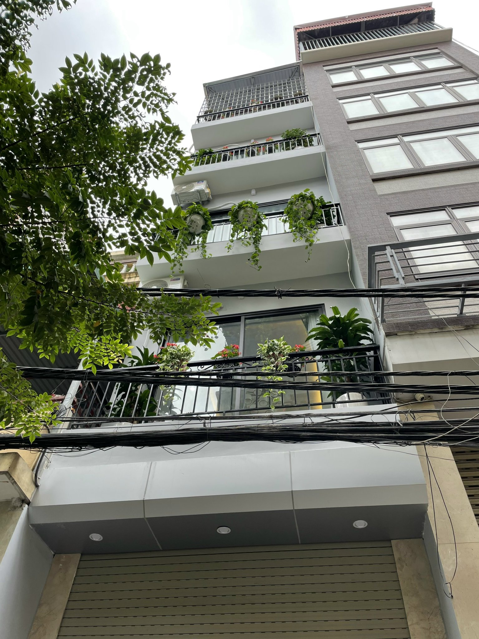75m2