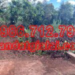  76m2 - 5