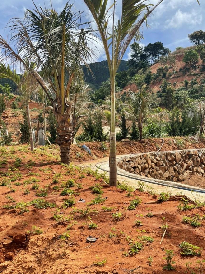 Bán khu du lịch tại Lâm Hà cách Đà Lạt 20km chỉ 22 tỷ