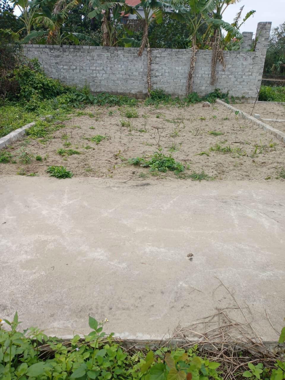 ĐẤT ĐẸP - GẦN Ô TÔ - NỞ HẬU - TỨ HIỆP - 55M - MT 3.8M - 3.25 TỶ