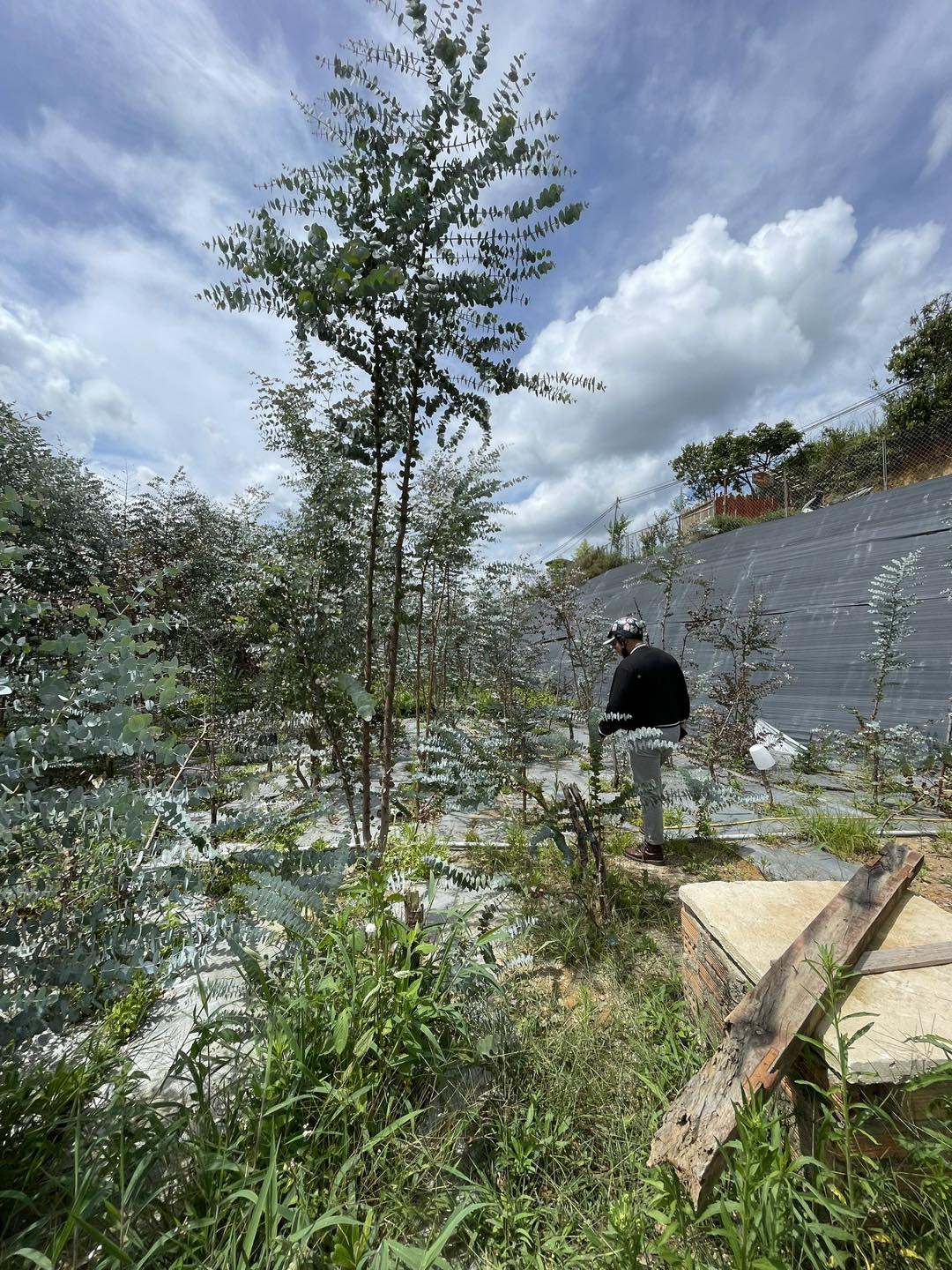 Bán đất làm farm tại Đa Quý Xuân Thọ Đà Lạt 5,5 tỷ