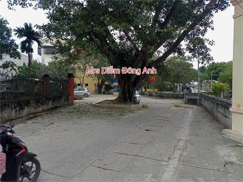 Nhỉnh 20 triệu, Mrs Diễm cần bán 103m đất mặt tiền 9.1m ngay Chợ Cổ Loa, Đông Anh