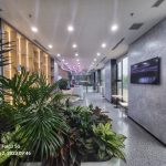  950m2 - 6