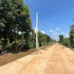  1000m2