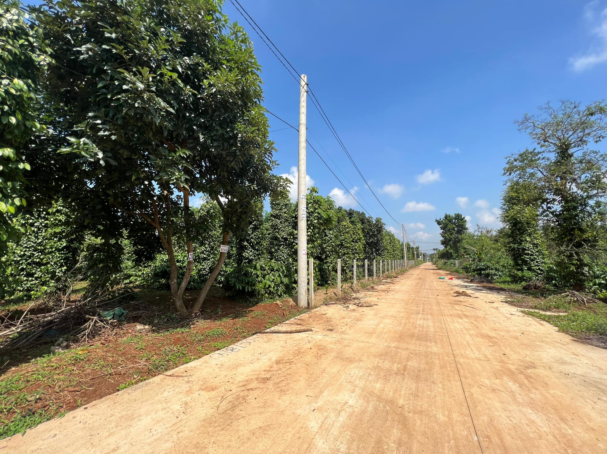 ĐẤT NHÀ VƯỜN ĐẸP NGAY KHO THÁI PHÚC CƯSUÊ ĐI VÀO Duy - Land House