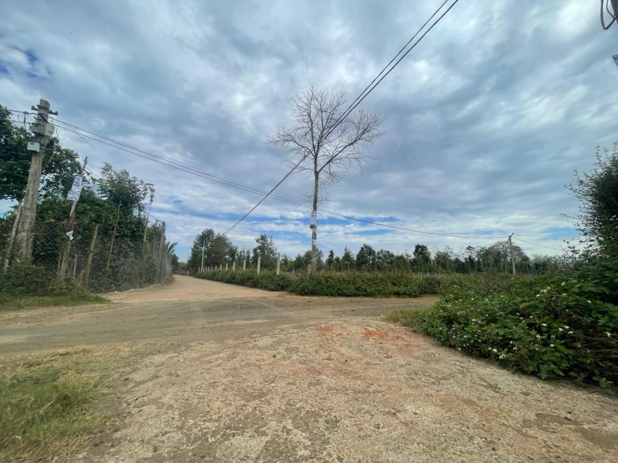  175m2