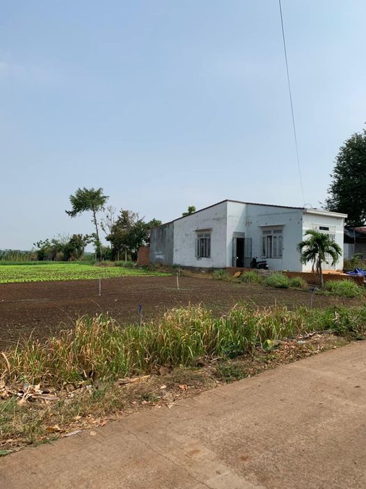  120m2