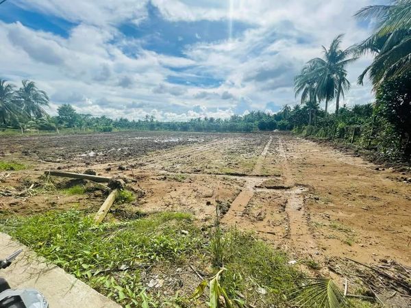 BÁN NHANH 6 NỀN F0 ĐƯỜNG ÔTÔ TẠI MỸ PHONG TP. MỸ THO - TIỀN GIANG