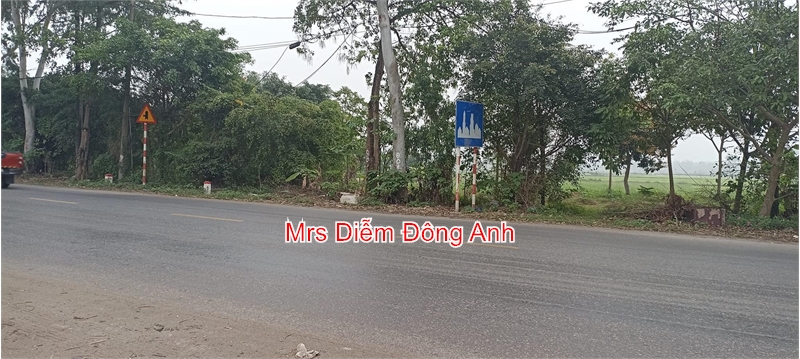 Chỉ 800 triệu, Mrs Diễm cần bán 481m đất 50 năm ngay QL 3 Vạn Lộc, Xuân Canh, Đông Anh.