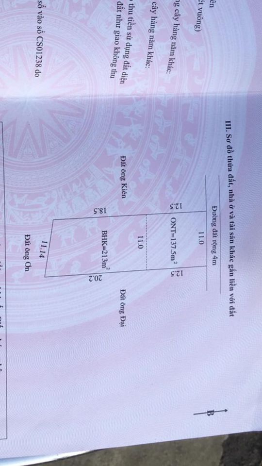 Bán đất tại bản Pa Lếch, xã Thanh Chăn, thành phố Điện Biên Phủ