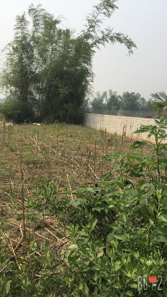 Bán đất tại thôn Thanh Hà, xã Thanh Chăn, huyện Điện Biên.