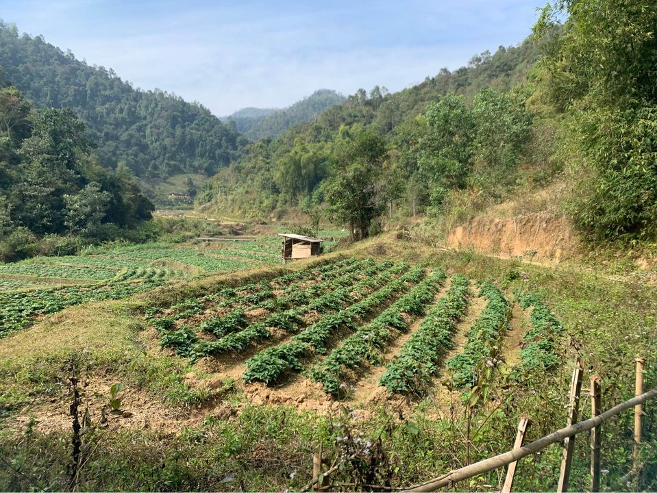 Cần bán đất thuận tiện làm trang trại ở Thôn Thanh bình xã Thanh Nưa.