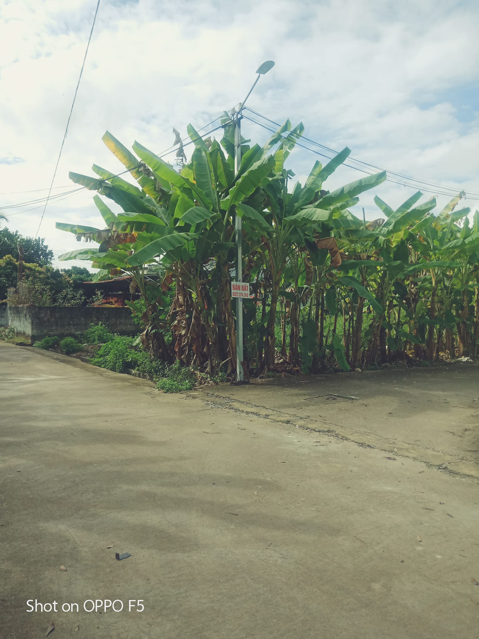 Em cần bán gấp 1 mảnh đất C17b, xã Thanh Xuơng, huyện Điện Biên