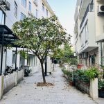  100m2 - 6