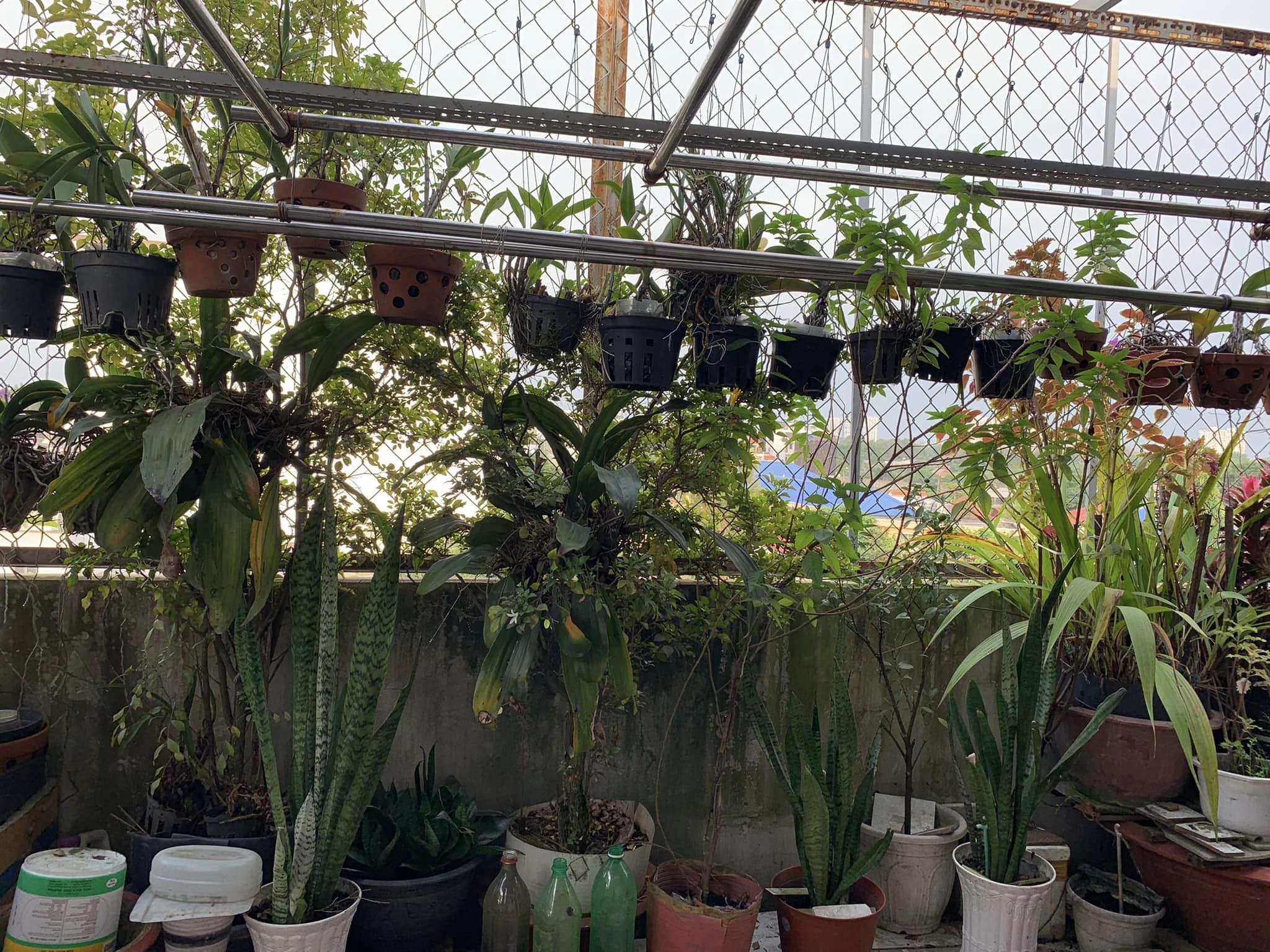 nhà đẹp giá tốt phạm thế hiển phường 7 quận 8