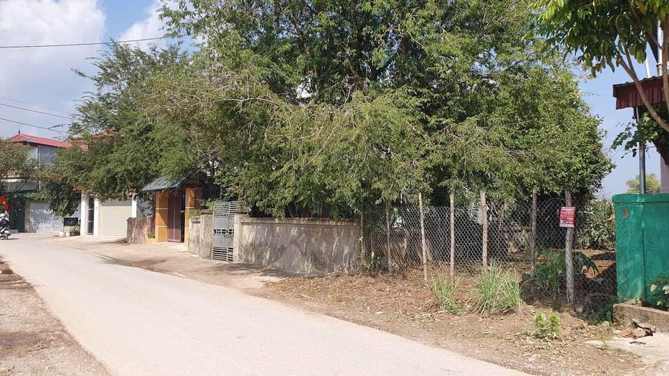 Cần tiền nên muốn bán gấp đất tại đội 19 - xã Thanh Hưng.