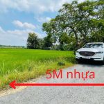  350m2 - 3