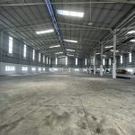  3000m2 - 1
