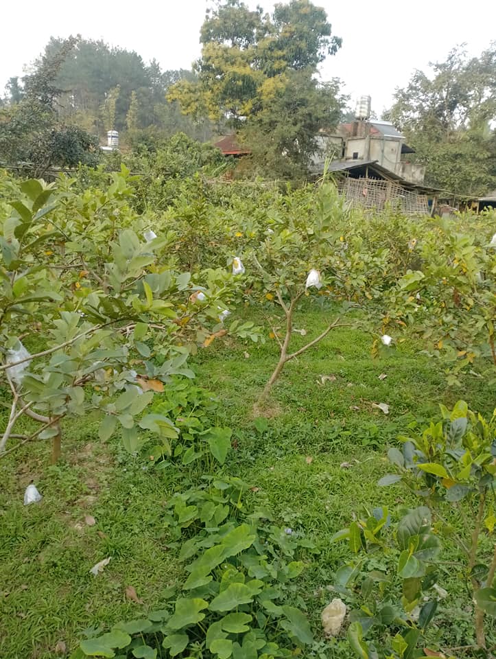 372m2