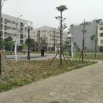 40m2 - 5