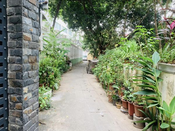 BÁN NHÀ NGÕ 22 TÂN THỤY LONG BIÊN 62M2 - 5 TẦNG - MẶT TIỀN 5.1M - GIÁ 3.8 TỶ