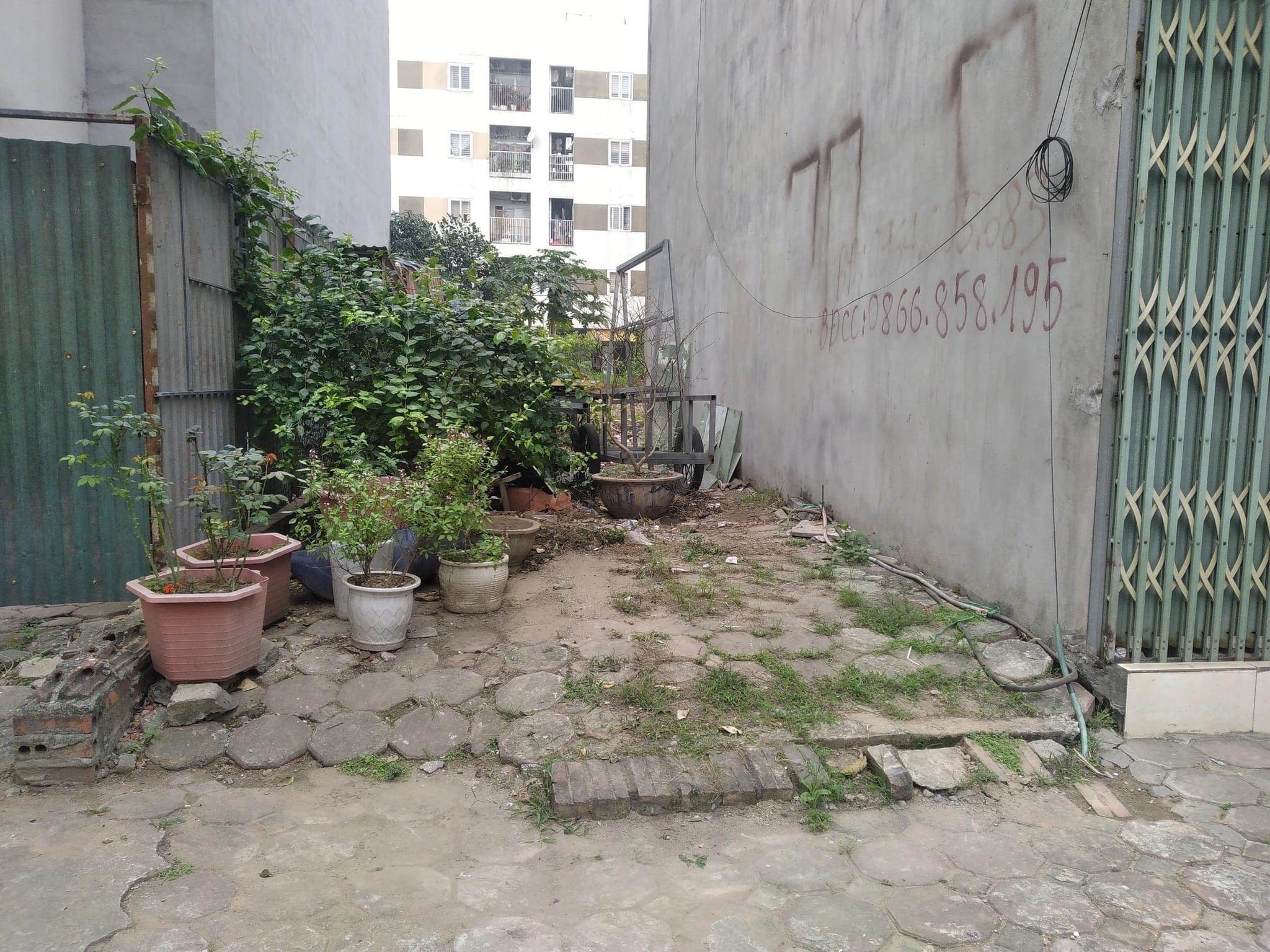 40m2 - 1