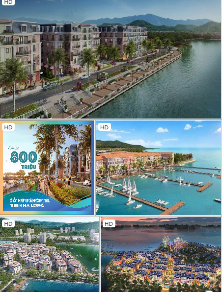 Chính Chủ Cần Bán Căn Hộ Aqua City Hạ Long Thuộc Bán Đảo 1 – Bim Group – Hoàng Quốc Việt – TP Hạ Long.