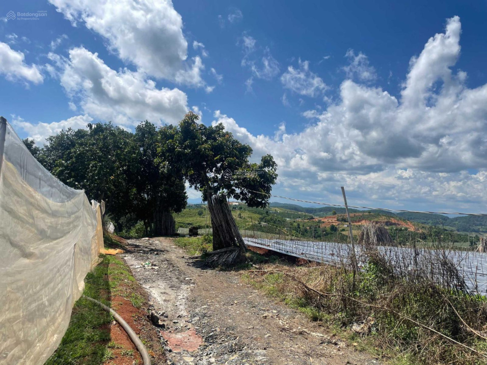 Bán 1 sào đất nông nghiệp có quy hoặch thổ cư, được xây dựng view hồ Đại Ninh
