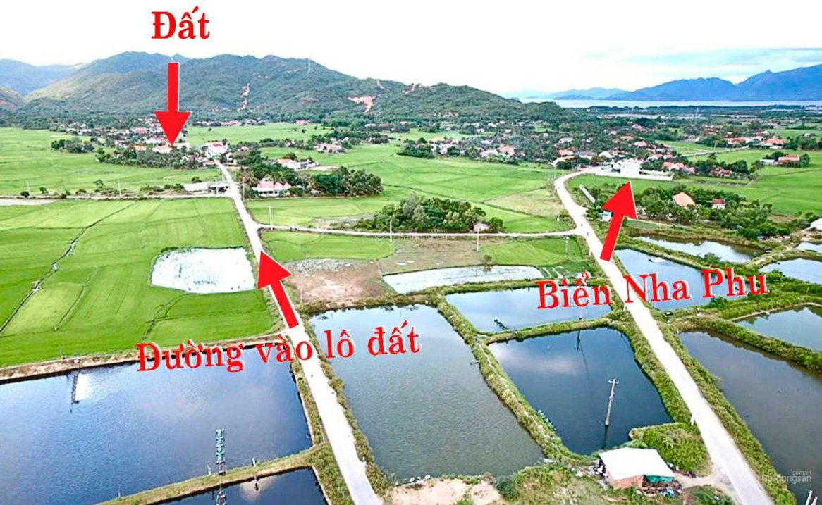 Bán 1000m2 đất ở tại Tiên Du 2 xã Ninh Phú thị xã Ninh Hòa tỉnh Khánh Hòa